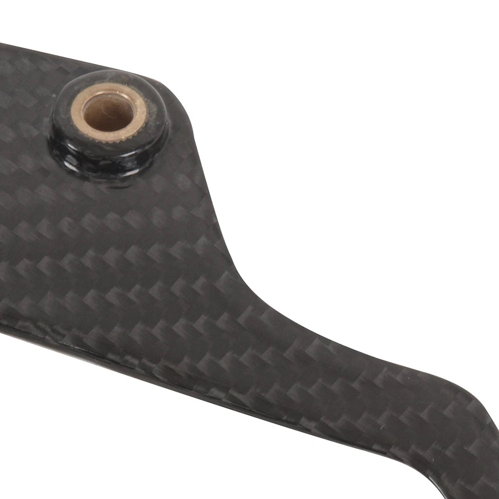 Carbon Fiber Chain Guard For Triumph Street Triple - 2016 to 2024