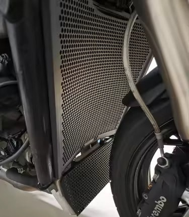 Radiator Guard & Oil Cooler Cover For BMW S1000RR / S1000R - 2019 to 2025