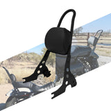 Detachable Passenger Backrest For Harley-Davidson Sportster XL883 / XL1200 - 2004 to 2022